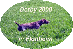 Derby 2009 Titelbild