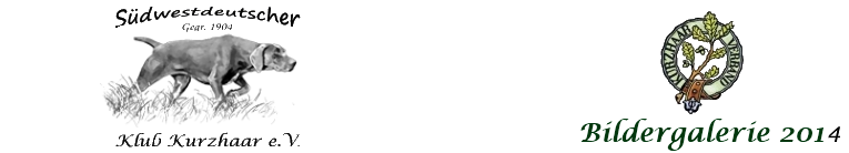 header logo dkv or - bildergalerie 2014