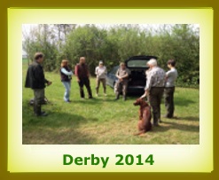 2014 Derby