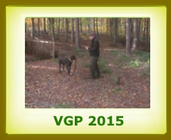 2015 VGP1