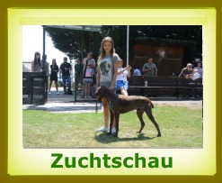 2015 zuchtschau