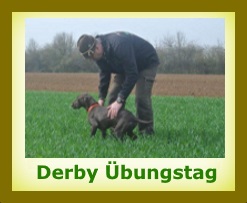 2016 Derby bungstag1