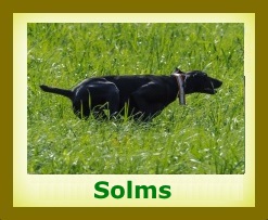 2016 Solms2