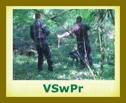 2016 VSwpr2a