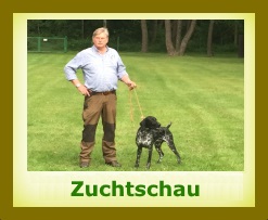 2016 Zuchtschau