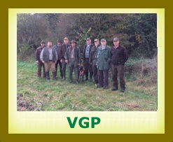 2016  VGP2