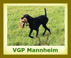 2017 VGP Mannheim