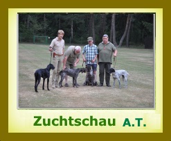 2017 Zuchtschau AT