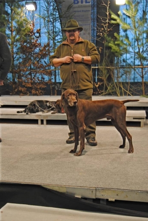 ANJA2011-04