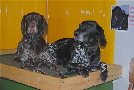 ANJA2011-09