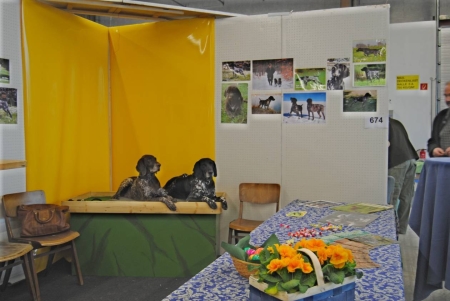 ANJA2011-12