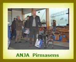 Anja 2008a