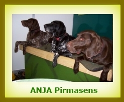 Anja 2009a