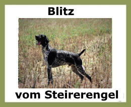 Blitz vom Steirerengel1