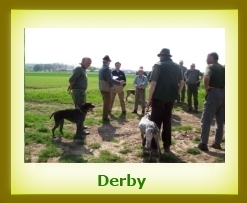 Derby 2008a