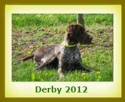 Derby 2012a