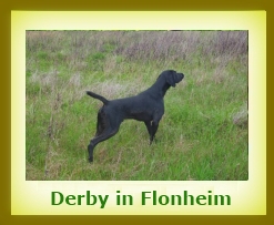 Derby 2013a