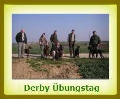 Derby bungstag 2013