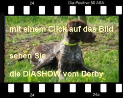 Diashow