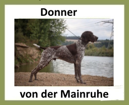 Donner von der Mainruhe
