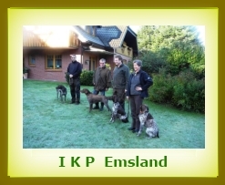 IKP 2011a