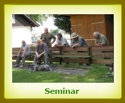 Seminar 2008 a