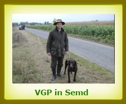 VGP 2009 Semd a