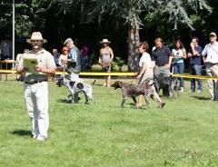 Zuchtschau09-08