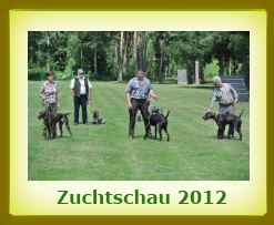 Zuchtschau 2012 in Bellheim