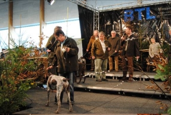 anja2010-06