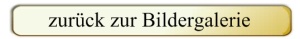 banner-temp3-galerie2