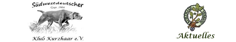 header logo dkv or - aktuelles a1
