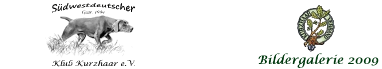 header logo dkv or - bildergalerie 2009