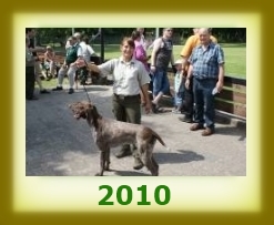 index 2010