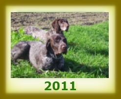index 2011