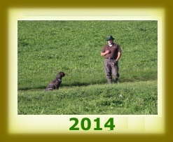 index 2014