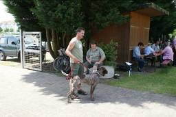 zsbell0606-09