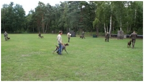 zuchtschau2011-25