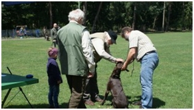 zuchtschau2011-26