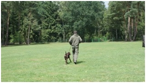 zuchtschau2011-33