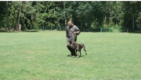 zuchtschau2011-76a