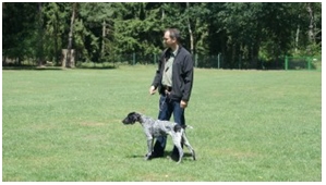 zuchtschau2011-77